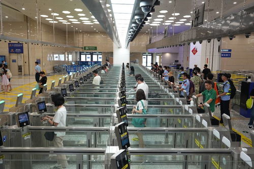 中国科技网 引领网络技术服务创新，赋能数字中国建设