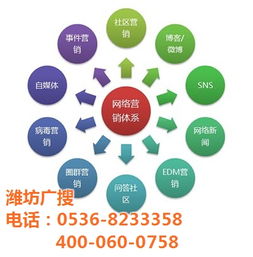 奎文网站优化技术指南及潍坊广搜优惠价格解析